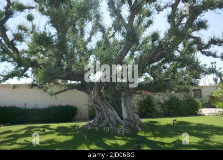 Palm Springs, Californie, États-Unis 11th juin 2022 Une vue générale de l'atmosphère du joueur de baseball Joe DiMaggio et de l'actrice Marilyn Monroe ancien domicile/domaine au 953 N. Avenida Palmas on 11 juin 2022 à Palm Springs, Californie, États-Unis. Photo par Barry King/Alay stock photo Banque D'Images