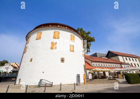 Photo de la sodni stolp de Maribor, Slovénie, en été. La Tour du jugement (Sodni stolp) est une tour médiévale fortifiée dans la ville de Maribor, S. Banque D'Images