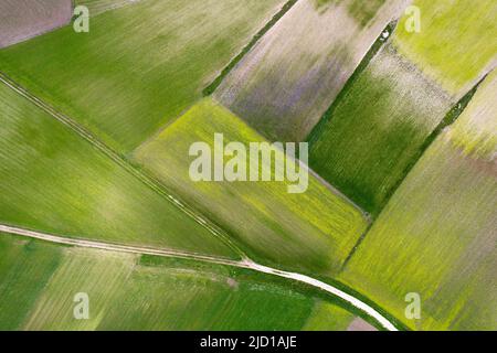 Vue aérienne de la composition géographique des champs cultivés Banque D'Images