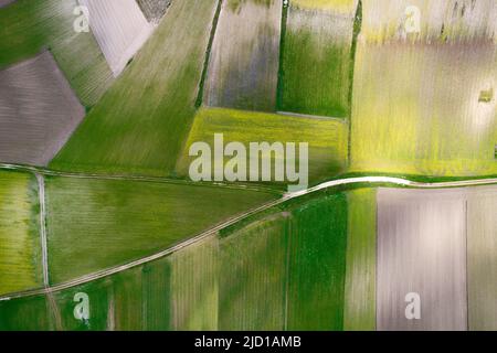 Vue aérienne de la composition géographique des champs cultivés Banque D'Images