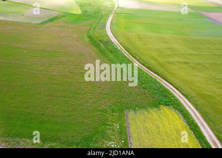 Vue aérienne de la composition géographique des champs cultivés Banque D'Images