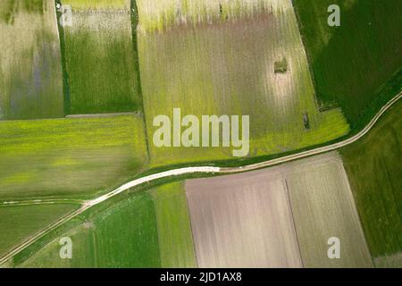 Vue aérienne de la composition géographique des champs cultivés Banque D'Images