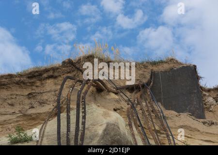 Des hirondelles pour hirondelles sur les falaises de la ville d'Ahrenshoop sur la péninsule de la mer Baltique Darss en Allemagne en été. Banque D'Images