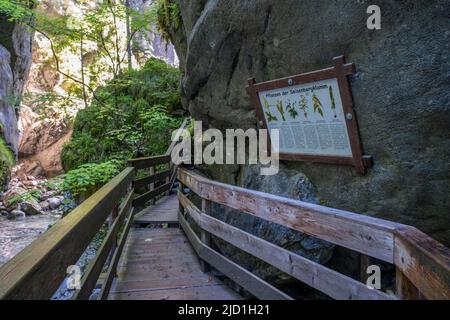 Panneau d'information à côté de la passerelle en bois à Seisenbergklamm, Weissbach, Saalach, Lofer, Pinzgau, Salzbourg, Autriche Banque D'Images