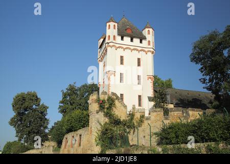 Château électoral à Eltville, Rheingau, Taunus, Hesse, Allemagne Banque D'Images