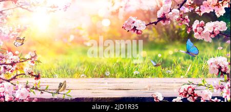 Table de printemps - Blossoms dans le jardin ensoleillé avec des lumières évocases abstraites Banque D'Images