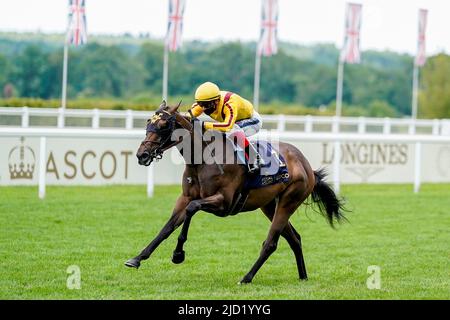 Photo du dossier datée du 20-06-2020 de Campanelle, qui peut lui faire trois victoires dans autant de voyages à l'Ascot royale avec la victoire dans les piquets du Jubilé de platine, le point culminant du dernier jour de la pièce d'exposition d'été. Date de publication : vendredi 17 juin 2022. Banque D'Images