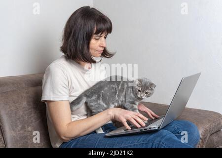 Belle femme d'âge moyen avec un cutecat travaille à la maison sur un ordinateur portable. Une femme d'âge moyen travaille à distance. Concept de lieu de travail à la maison avec animaux de compagnie. Les animaux de compagnie sont Banque D'Images