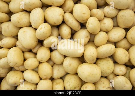 Tas de pommes de terre blanches, vue du dessus de la nourriture crue. Fond plein cadre Banque D'Images