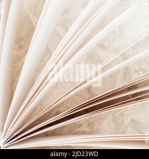 Gros plan livre ouvert, pages d'ordinateur portable, arrière-plan flou et clair Banque D'Images