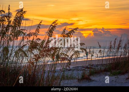 Lido Key Beach, Sarasota, Floride, États-Unis au coucher du soleil. Banque D'Images