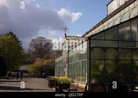 The Botanic Gardens, Glasgow, Écosse, 8 avril 2022. N55°52,733' W4°17,408' Banque D'Images