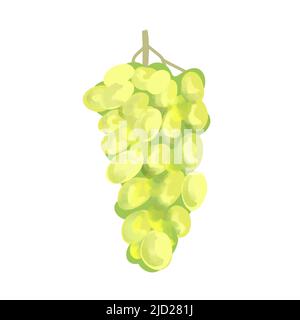 Illustration du raisin jaune isolé sur fond blanc Illustration de Vecteur