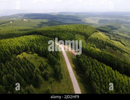 Pékin, Chine. 17th juin 2022. Photo aérienne prise le 22 août 2021 montre le paysage de la ferme forestière de Saihanba dans la province de Hebei, au nord de la Chine. POUR ALLER AVEC LES TITRES DE XINHUA DU 17 JUIN 2022 crédit: Jin Haoyuan/Xinhua/Alamy Live News Banque D'Images