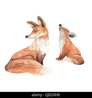 Mère assise et bébé renard. Illustration isolée sur fond blanc. Aquarelle dessin à la main. Idéal pour les affiches, les vêtements de bébé et le t-shirt Banque D'Images