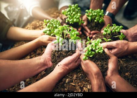 Grandir ensemble. Prise de vue en grand angle d'un groupe de personnes méconnaissables tenant des plantes poussant dans le sol. Banque D'Images