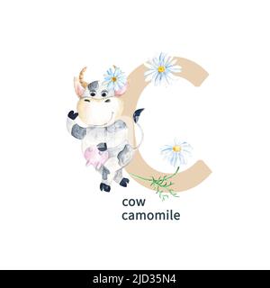 Lettre C, vache, camomille, enfants mignons animaux colorés et fleurs alphabet ABC. Illustration aquarelle isolée sur fond blanc. Banque D'Images