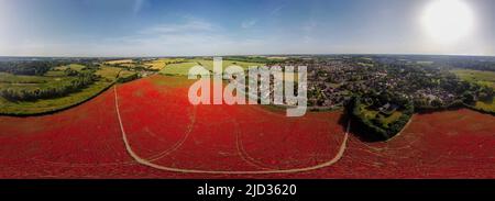 Une vue aérienne à 360 degrés des coquelicots en fleur dans un champ près d'Ipswich, au Royaume-Uni Banque D'Images