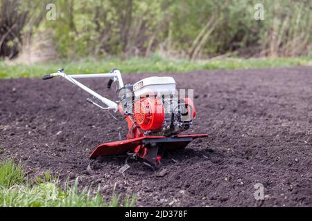 Le cultivateur rouge cultive un potager pour planter des légumes et des pommes de terre. Le motobloc tracteur travaille dans le champ au coucher du soleil. Cultive le sol Banque D'Images