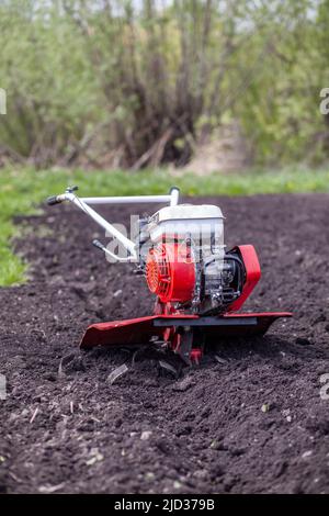 Le cultivateur rouge cultive un potager pour planter des légumes et des pommes de terre. Le motobloc tracteur travaille dans le champ au coucher du soleil. Cultive le sol Banque D'Images