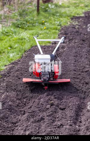 Le cultivateur rouge cultive un potager pour planter des légumes et des pommes de terre. Le motobloc tracteur travaille dans le champ au coucher du soleil. Cultive le sol Banque D'Images