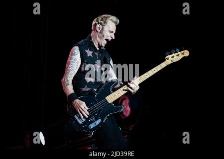 ITALIE, MILAN, JUIN 15th 2022 : Mike Dirnt, bassiste du groupe de rock punk américain, LE JOUR VERT, se préforme sur scène à Ippodromo SNAI la Maura pendant le « I-Days Festival 2022 » Banque D'Images