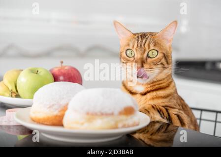 Le chat lèche ses lèvres tout en regardant les beignets. Le choix entre une alimentation saine et malsaine. Banque D'Images