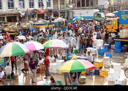 CHITTAGONG, BANGLADESH - JUIN 13 : les acheteurs et les vendeurs sont vus sur le marché de gros du poisson à Fishery Ghat à Chittagong, Bangladesh, un matin Banque D'Images