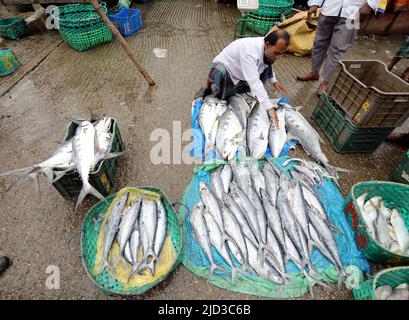 CHITTAGONG, BANGLADESH - JUIN 13 : les acheteurs et les vendeurs sont vus sur le marché de gros du poisson à Fishery Ghat à Chittagong, Bangladesh, un matin Banque D'Images