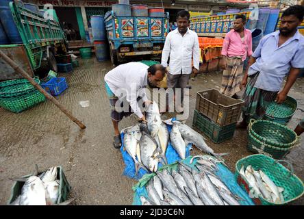 CHITTAGONG, BANGLADESH - JUIN 13 : les acheteurs et les vendeurs sont vus sur le marché de gros du poisson à Fishery Ghat à Chittagong, Bangladesh, un matin Banque D'Images