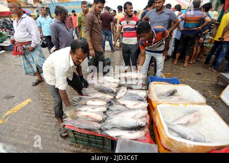 CHITTAGONG, BANGLADESH - JUIN 13 : les acheteurs et les vendeurs sont vus sur le marché de gros du poisson à Fishery Ghat à Chittagong, Bangladesh, un matin Banque D'Images