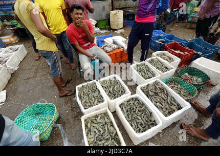 CHITTAGONG, BANGLADESH - JUIN 13 : les acheteurs et les vendeurs sont vus sur le marché de gros du poisson à Fishery Ghat à Chittagong, Bangladesh, un matin Banque D'Images