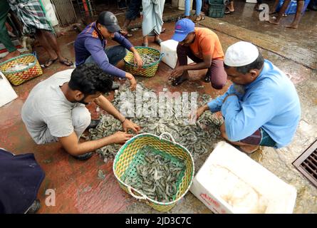 CHITTAGONG, BANGLADESH - JUIN 13 : les acheteurs et les vendeurs sont vus sur le marché de gros du poisson à Fishery Ghat à Chittagong, Bangladesh, un matin Banque D'Images