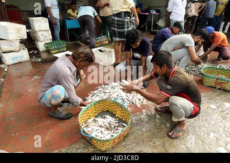 CHITTAGONG, BANGLADESH - JUIN 13 : les acheteurs et les vendeurs sont vus sur le marché de gros du poisson à Fishery Ghat à Chittagong, Bangladesh, un matin Banque D'Images