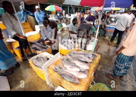 CHITTAGONG, BANGLADESH - JUIN 13 : les acheteurs et les vendeurs sont vus sur le marché de gros du poisson à Fishery Ghat à Chittagong, Bangladesh, un matin Banque D'Images