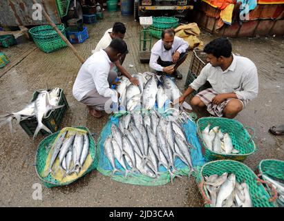 CHITTAGONG, BANGLADESH - JUIN 13 : les acheteurs et les vendeurs sont vus sur le marché de gros du poisson à Fishery Ghat à Chittagong, Bangladesh, un matin Banque D'Images