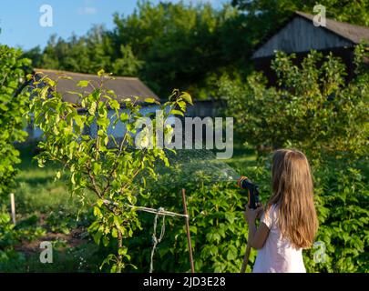 Une petite fille utilise un jet d'eau pour arroser les arbres dans le jardin Banque D'Images