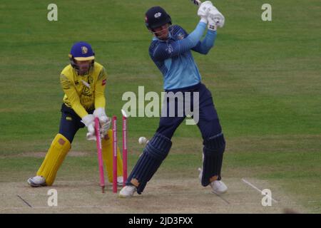 Chester le Street, Royaume-Uni. 8 juin 2022. Finn Allen, batting pour les Vikings du Yorkshire, est animé par Scott Borthwick lors de leur match Blast Vitality au Riverside. Crédit: Colin Edwards crédit: Colin Edwards/Alay Live News Banque D'Images