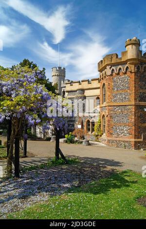 Royaume-Uni, Kent, Whitstable Castle Banque D'Images