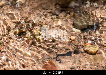 Pierres dans l'eau étincelante avec reflets ensoleillés dans l'eau d'une crique d'eau claire comme le fond naturel idyllique montre les vagues de méditation zen Banque D'Images