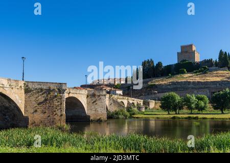 Vue sur Ciudad Rodrigo avec sa rivière, son pont et son château. À Salamanque, Espagne Banque D'Images