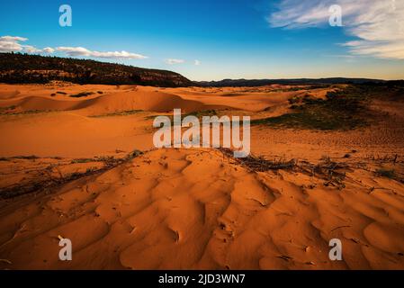 Vue panoramique sur les dunes de sable rose de corail à Kanab, Utah, États-Unis. Les dunes sont créées par l'érosion et le vent soufflant des falaises de grès voisines. Banque D'Images