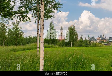 Vue depuis le parc Zaryadye à travers une plantation de bouleau jusqu'à la tour Spasskaya du Kremlin Banque D'Images