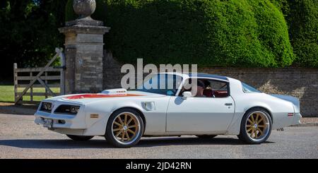 TRANS Am 1979 DE PONTIAC Banque D'Images