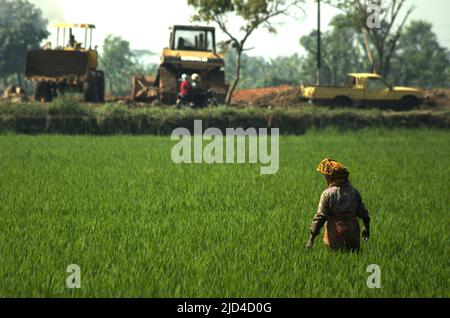 Une femme paysanne travaillant sur le champ de riz au bord de la route, dans un contexte de lourdes machineries garées de l'autre côté de la route sur un site de projet de logement à Bandung, Java-Ouest, Indonésie. Banque D'Images