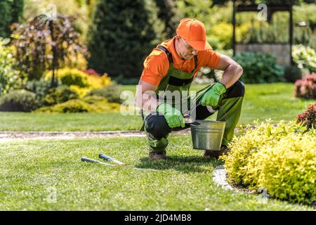 Jardinier de paysagisme professionnel portant son costume de jardinage Pruning plants avec sécateur pendant les travaux d'entretien et de jardinage. Outils de jardinage i Banque D'Images