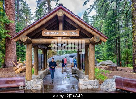 San Francisco, CA, Etats-Unis - 16 juillet 2015: Le sentier général de l'arbre de Sherman lors d'un jour pluvieux en été. Banque D'Images