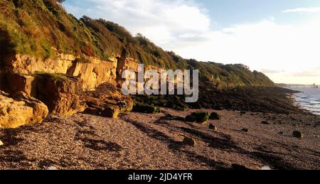 Soleil tardif sur les falaises à Layde Bay, Clevedon, North Somerset, Royaume-Uni Banque D'Images