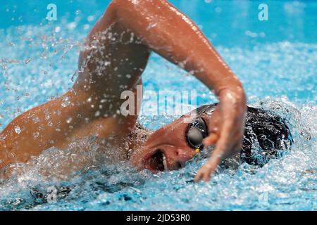 Budapest, Hongrie. 18th juin 2022. La Saint-Valentin belge Dumont en action lors des championnats du monde de natation à Budapest, Hongrie, samedi 18 juin 2022. Les Championnats du monde 19th de la FINA 2022 ont lieu du 18 juin au 03 juillet. BELGA PHOTO NIKOLA KRSTIC crédit: Belga News Agency/Alay Live News Banque D'Images