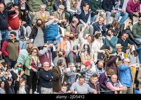 Corrida à Cantillana, Espagne Banque D'Images